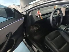 Tesla Model 3 2023 Rear-Wheel Drive - ფოტო 16
