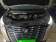 Buick GL8 ES Luxe Enjoyment Edition - ფოტო 20