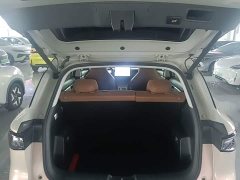 Wuling Bingo S 430km Flagship - ფოტო 19