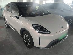 Wuling Bingo S 430km Flagship - ფოტო 4