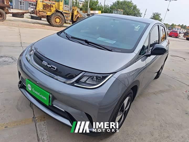 BYD Dolphin Glory Edition 420km Freedom Version - ავტომობილი ჩინეთიდან