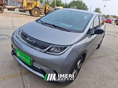 2024 BYD Dolphin Glory Edition 420km Freedom Version - ავტომობილი ჩინეთიდან