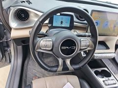 BYD Dolphin Glory Edition 420km Freedom Version - ფოტო 11