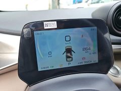 BYD Dolphin Glory Edition 420km Freedom Version - ფოტო 12
