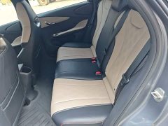 BYD Dolphin Glory Edition 420km Freedom Version - ფოტო 17