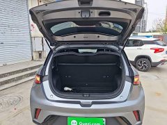 BYD Dolphin Glory Edition 420km Freedom Version - ფოტო 19