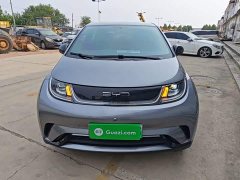 BYD Dolphin Glory Edition 420km Freedom Version - ფოტო 3