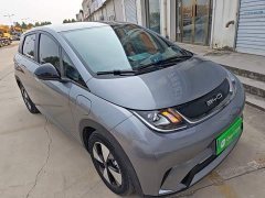 BYD Dolphin Glory Edition 420km Freedom Version - ფოტო 4