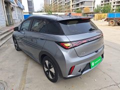 BYD Dolphin Glory Edition 420km Freedom Version - ფოტო 5