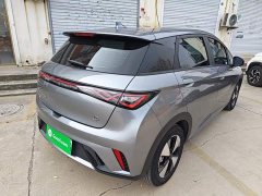 BYD Dolphin Glory Edition 420km Freedom Version - ფოტო 7
