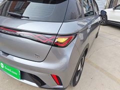 BYD Dolphin Glory Edition 420km Freedom Version - ფოტო 8