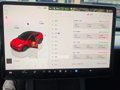 Tesla Model Y Rear-Wheel Drive - ფოტო 12