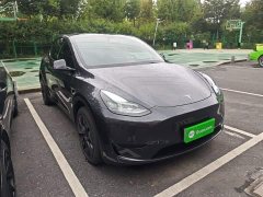 Tesla Model Y Rear-Wheel Drive - ფოტო 4