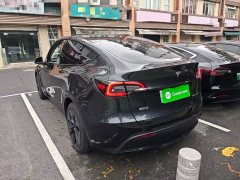 Tesla Model Y Rear-Wheel Drive - ფოტო 5
