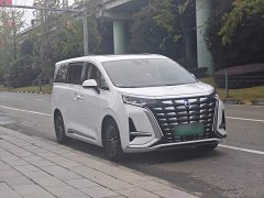 Denza BYD Denza D9 DM-i 980 Four-Wheel Drive Premium - ფოტო 4