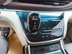 Buick GL8 Land Executive Cabin 652T Premium - ფოტო 10