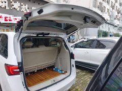 Buick GL8 Land Executive Cabin 652T Premium - ფოტო 15