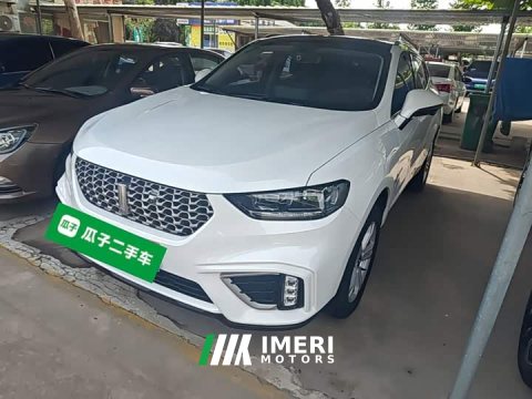 2021 Great Wall WEY VV5 1.5T Two-Wheel Drive Color Pioneer - ავტომობილი ჩინეთიდან