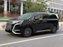 Denza BYD Denza D9 2024 EV 620 Premium Edition - ფოტო 1