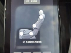 Denza BYD Denza D9 2024 EV 620 Premium Edition - ფოტო 19