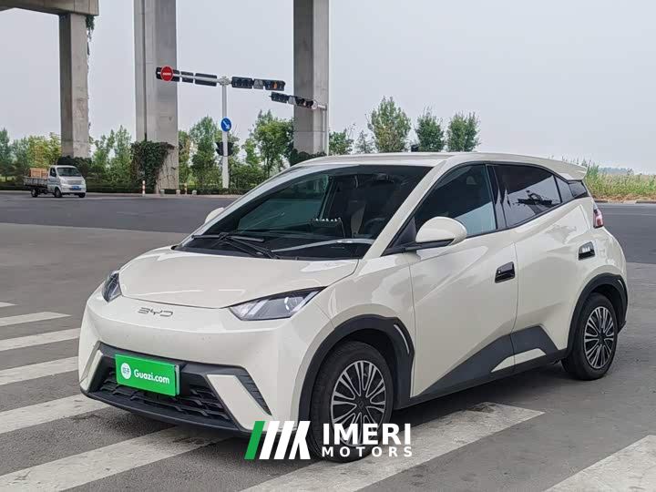 BYD Seagull 305km Vitality Edition