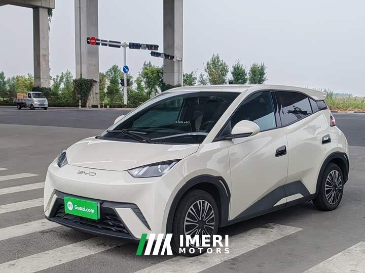 BYD Seagull 2025 305km Vitality Edition - ავტომობილი ჩინეთიდან
