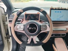 BYD Seagull 2025 305km Vitality Edition - ფოტო 11