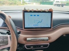 BYD Seagull 2025 305km Vitality Edition - ფოტო 13