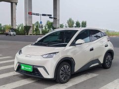 BYD Seagull 2025 305km Vitality Edition - ფოტო 2