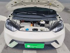 BYD Seagull 2025 305km Vitality Edition - ფოტო 20