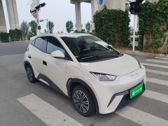 BYD Seagull 2025 305km Vitality Edition - ფოტო 4