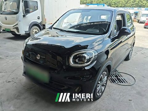 2022 Leapmotor T03 2021 400 Lite Enjoy Edition Ternary Lithium - ავტომობილი ჩინეთიდან