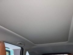 Haval Xiaolong MAX Hi4 165 Ultra Intelligent Driving Edition - ფოტო 18
