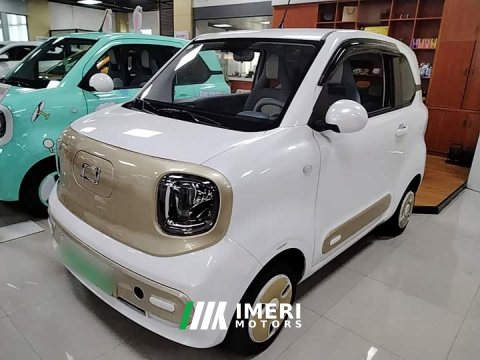 2025 FAW Besturn Xiaoma 2024 170km Vitality Edition - ავტომობილი ჩინეთიდან