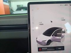 Tesla Model 3 Rear-Wheel Drive - ფოტო 14