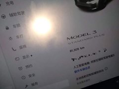 Tesla Model 3 Facelift Standard Range RWD Upgrade 3D1 - ფოტო 12