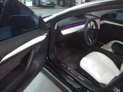 Tesla Model 3 Facelift Standard Range RWD Upgrade 3D1 - ფოტო 16