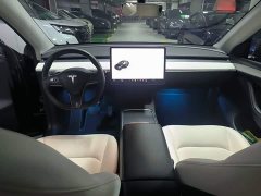 Tesla Model Y Long Range All-Wheel Drive 3D7 - ფოტო 10