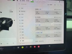 Tesla Model Y Long Range All-Wheel Drive 3D7 - ფოტო 12