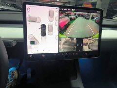 Tesla Model Y Long Range All-Wheel Drive 3D7 - ფოტო 13
