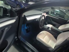 Tesla Model Y Long Range All-Wheel Drive 3D7 - ფოტო 16