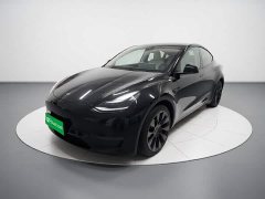 Tesla Model Y Long Range All-Wheel Drive 3D7 - ფოტო 2