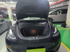 Tesla Model Y Long Range All-Wheel Drive 3D7 - ფოტო 20