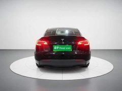 Tesla Model Y Long Range All-Wheel Drive 3D7 - ფოტო 6