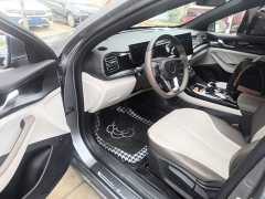 BYD Qin PLUS Champion Edition DM-i 55KM Leading - ფოტო 16
