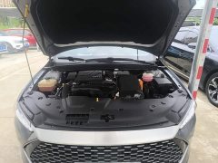 BYD Qin PLUS Champion Edition DM-i 55KM Leading - ფოტო 20