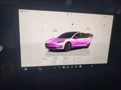 Tesla Model 3 2022 Rear-Wheel Drive - ფოტო 13