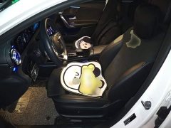 Mercedes-Benz A-Class A 200 L Sport Sedan Fashion Edition - ფოტო 15