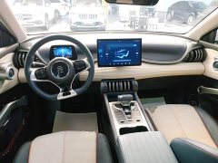 BYD Yuan Plus 430KM Premium Edition - ფოტო 10