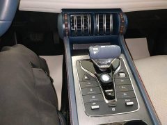 BYD Yuan Plus 430KM Premium Edition - ფოტო 14